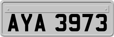 AYA3973