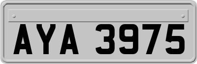 AYA3975