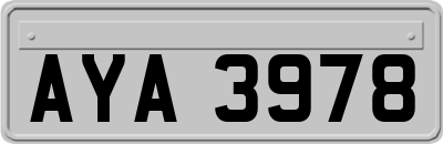 AYA3978