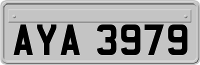 AYA3979