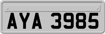AYA3985