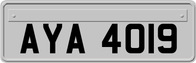 AYA4019