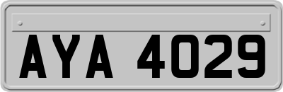 AYA4029