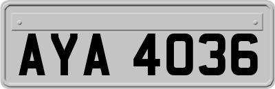 AYA4036