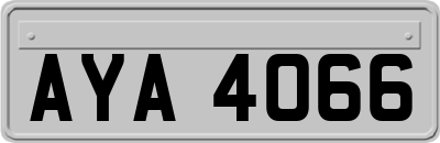 AYA4066