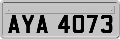 AYA4073