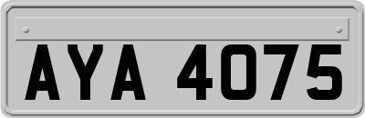 AYA4075