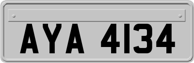 AYA4134