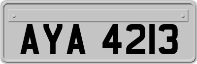 AYA4213