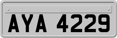 AYA4229