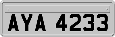 AYA4233