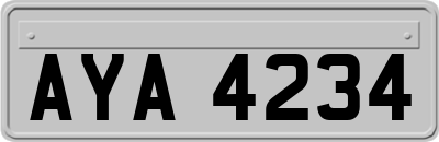AYA4234