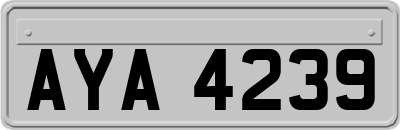 AYA4239