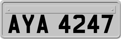 AYA4247