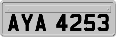 AYA4253