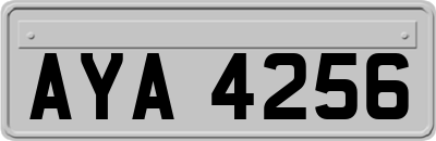 AYA4256