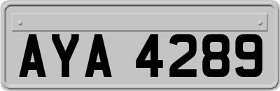 AYA4289