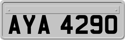 AYA4290