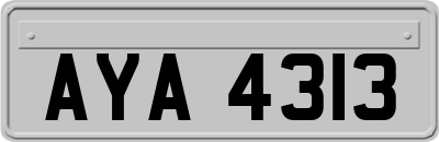 AYA4313
