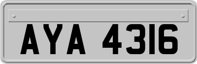 AYA4316