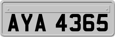 AYA4365