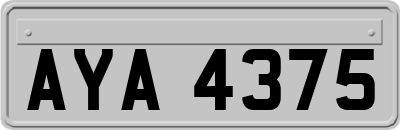 AYA4375