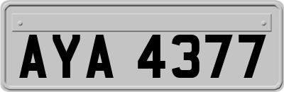 AYA4377