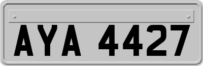 AYA4427