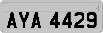 AYA4429