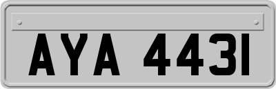 AYA4431