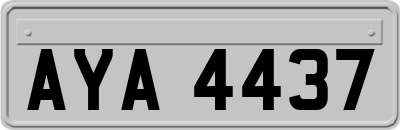 AYA4437