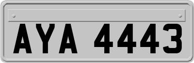 AYA4443