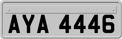 AYA4446