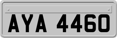 AYA4460