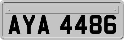 AYA4486