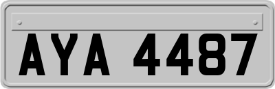 AYA4487