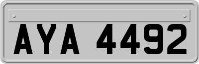 AYA4492