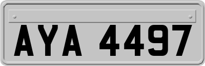 AYA4497