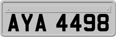 AYA4498