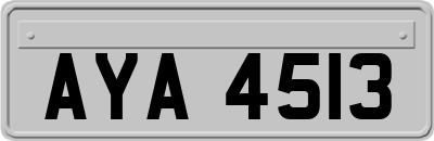 AYA4513