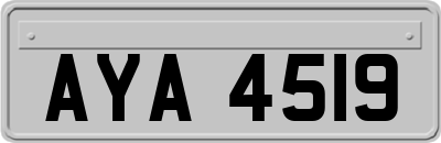 AYA4519