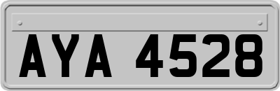 AYA4528