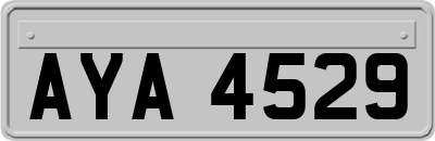 AYA4529