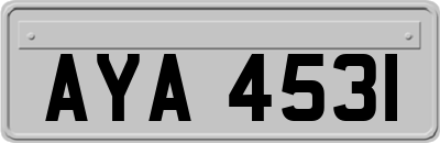 AYA4531