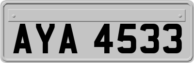AYA4533