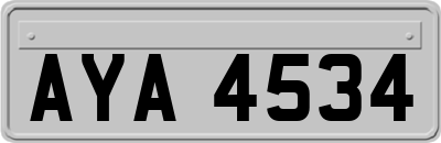 AYA4534