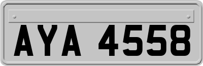 AYA4558