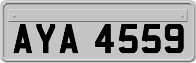 AYA4559