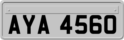 AYA4560