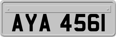 AYA4561